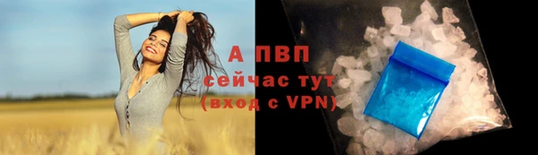 эйфоретик Медвежьегорск