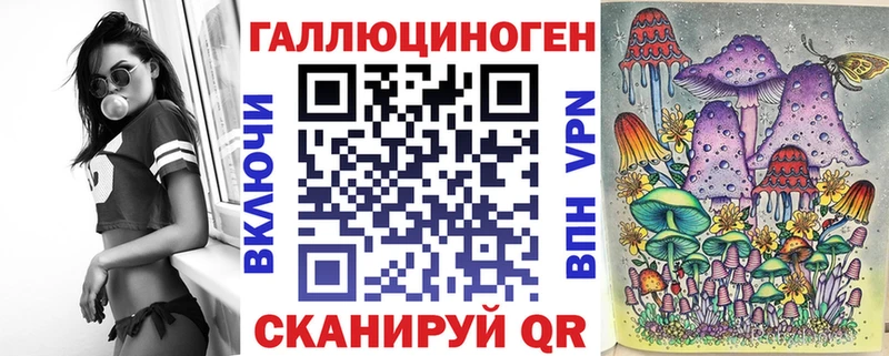 Псилоцибиновые грибы Psilocybe  Йошкар-Ола 