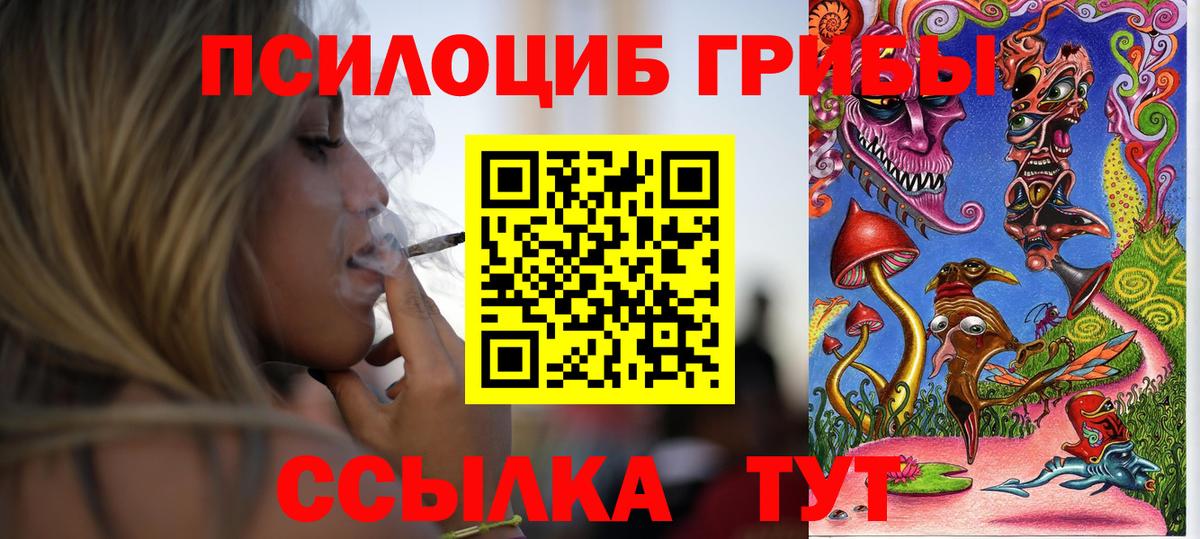 Псилоцибиновые грибы GOLDEN TEACHER Йошкар-Ола