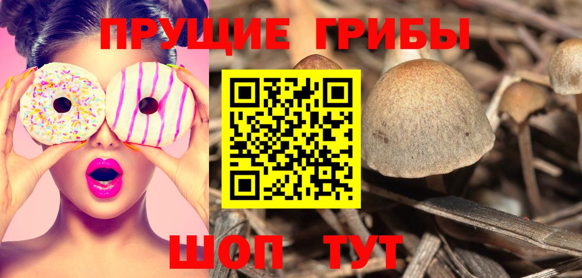 Псилоцибиновые грибы GOLDEN TEACHER  Псилоцибиновые грибы мицелий  Вход с VPN  Йошкар-Ола 
